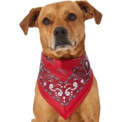 Frisco Red Paisley Dog & Cat Bandana 12 Frisco Red Paisley Dog & Cat Bandana -Pet Cat Store 267919 PT2. AC SS1800 V1637669854