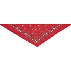 Frisco Red Paisley Dog & Cat Bandana 14 Frisco Red Paisley Dog & Cat Bandana -Pet Cat Store 267919 PT4. AC SS1800 V1637674037