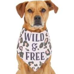Frisco Pink Leopard Dog & Cat Bandana -Pet Cat Store 267922 PT2. AC SS1800 V1637646441