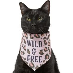 Frisco Pink Leopard Dog & Cat Bandana -Pet Cat Store 267922 PT3. AC SS1800 V1637687868