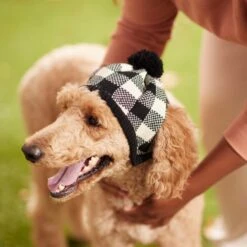 Frisco Plaid Dog & Cat Knitted Hat -Pet Cat Store 267925 PT8. AC SS1800 V1629755603