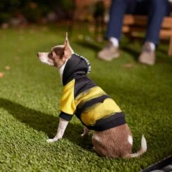 Frisco Rebel Dog & Cat Hoodie -Pet Cat Store 267994 PT6. AC SS1800 V1637730463