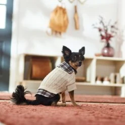 Frisco Cream Cable Knit Dog & Cat Sweater, White/Red Plaid -Pet Cat Store 268057 PT8. AC SS1800 V1629766069