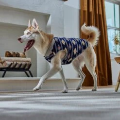 Frisco Lightweight Southwest Dog & Cat Polar Fleece Vest -Pet Cat Store 268167 PT8. AC SS1800 V1629756292