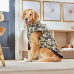 Frisco Mediumweight Camo Print Insulated Dog & Cat Zippered Coat, Green -Pet Cat Store 268295 PT8. AC SS1800 V1629755320