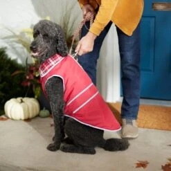 Frisco Mediumweight Reflective Water-Resistant Insulated Dog & Cat Coat 15 Frisco Mediumweight Reflective Water-Resistant Insulated Dog & Cat Coat -Pet Cat Store 268342 PT8. AC SS1800 V1629764397