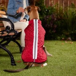 Frisco Mediumweight Reflective 2-in-1 Dog & Cat Fleece Coat -Pet Cat Store 268359 PT8. AC SS1800 V1629759326