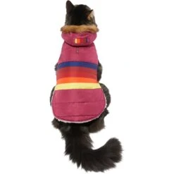 Frisco Mediumweight Colorblock Adventure Insulated Dog & Cat Parka 11 Frisco Mediumweight Colorblock Adventure Insulated Dog & Cat Parka -Pet Cat Store 268421 PT2. AC SS1800 V1628779779
