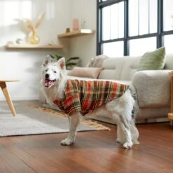 Frisco Orange & Olive Plaid Dog & Cat Flannel Shirt -Pet Cat Store 268612 PT8. AC SS1800 V1629759992