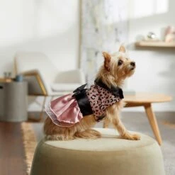 Frisco Pink Cheetah Dog & Cat Dress -Pet Cat Store 268661 PT6. AC SS1800 V1637672527