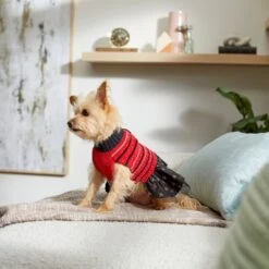 Frisco Chenille Knit Striped Dog & Cat Dress 15 Frisco Chenille Knit Striped Dog & Cat Dress -Pet Cat Store 268668 PT8. AC SS1800 V1629762896