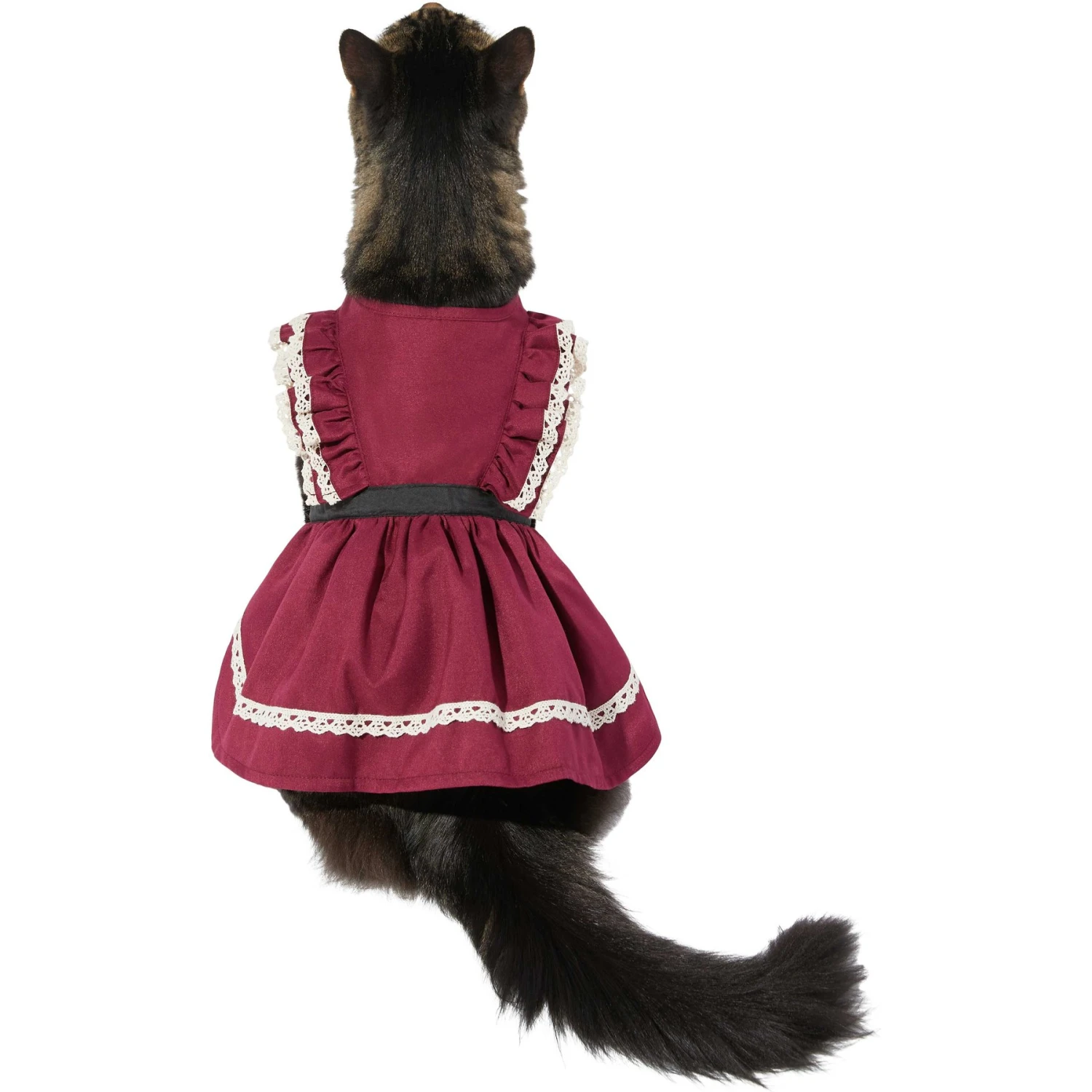 Frisco Plum Dog & Cat Dress 6 Frisco Plum Dog & Cat Dress - Image 4