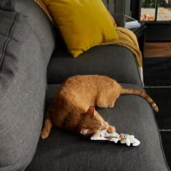 Frisco Halloween Good Witch, Bad Witch Reversible Plush Cat Toy With Catnip -Pet Cat Store 270301 PT3. AC SS1800 V1624824841