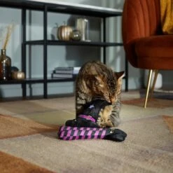 Frisco Halloween Witch Hat & Legs Plush Cat Toy With Catnip, 2 Count 8 Frisco Halloween Witch Hat & Legs Plush Cat Toy With Catnip, 2 Count -Pet Cat Store 270305 PT3. AC SS1800 V1624817161