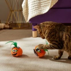 Frisco Halloween Nerdy Jack-o-Lanterns Plush Cat Toy With Catnip, 2 Count 8 Frisco Halloween Nerdy Jack-o-Lanterns Plush Cat Toy With Catnip, 2 Count -Pet Cat Store 270313 PT3. AC SS1800 V1624824951