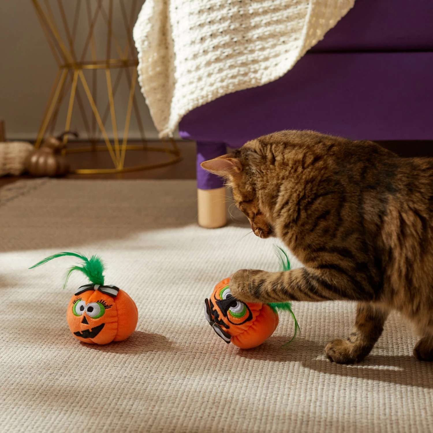 Frisco Halloween Nerdy Jack-o-Lanterns Plush Cat Toy With Catnip, 2 Count 5 Frisco Halloween Nerdy Jack-o-Lanterns Plush Cat Toy With Catnip, 2 Count - Image 3