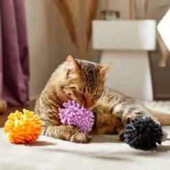 Frisco Halloween Moppy Ball Cat Toy With Catnip 8 Frisco Halloween Moppy Ball Cat Toy With Catnip -Pet Cat Store 270337 PT3. AC SS1800 V1624817812