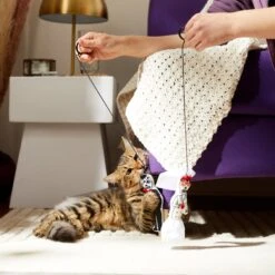 Frisco Sugar Skull Bride & Groom Bouncy Cat Toy With Catnip, 2 Count -Pet Cat Store 270343 PT3. AC SS1800 V1624817778