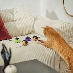 Frisco Halloween Bat Mice Plush Cat Toy With Catnip 8 Frisco Halloween Bat Mice Plush Cat Toy With Catnip -Pet Cat Store 270353 PT3. AC SS1800 V1624817260