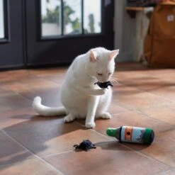 Frisco Camping Bug Spray Plush Cat Toy With Catnip, 3 Count -Pet Cat Store 270969 PT3. AC SS1800 V1625009346