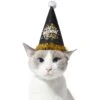 Frisco Happy New Year Dog & Cat Hat -Pet Cat Store 276190 MAIN. AC SS1800 V1631302647