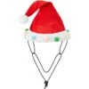 Frisco Holiday Poms Dog & Cat Santa Hat -Pet Cat Store 276194 MAIN. AC SS1800 V1631302615