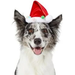 Frisco Holiday Poms Dog & Cat Santa Hat -Pet Cat Store 276194 PT2. AC SS1800 V1631303507