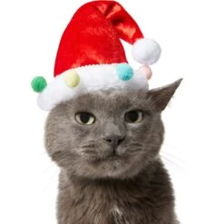 Frisco Holiday Poms Dog & Cat Santa Hat -Pet Cat Store 276194 PT3. AC SS1800 V1631303179