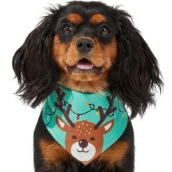 Frisco Peekaboo Reindeer Dog & Cat Bandana -Pet Cat Store 276198 PT3. AC SS1800 V1637687013