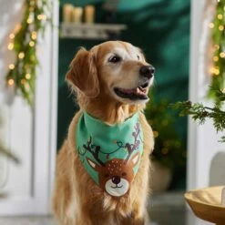Frisco Peekaboo Reindeer Dog & Cat Bandana -Pet Cat Store 276198 PT5. AC SS1800 V1637644939
