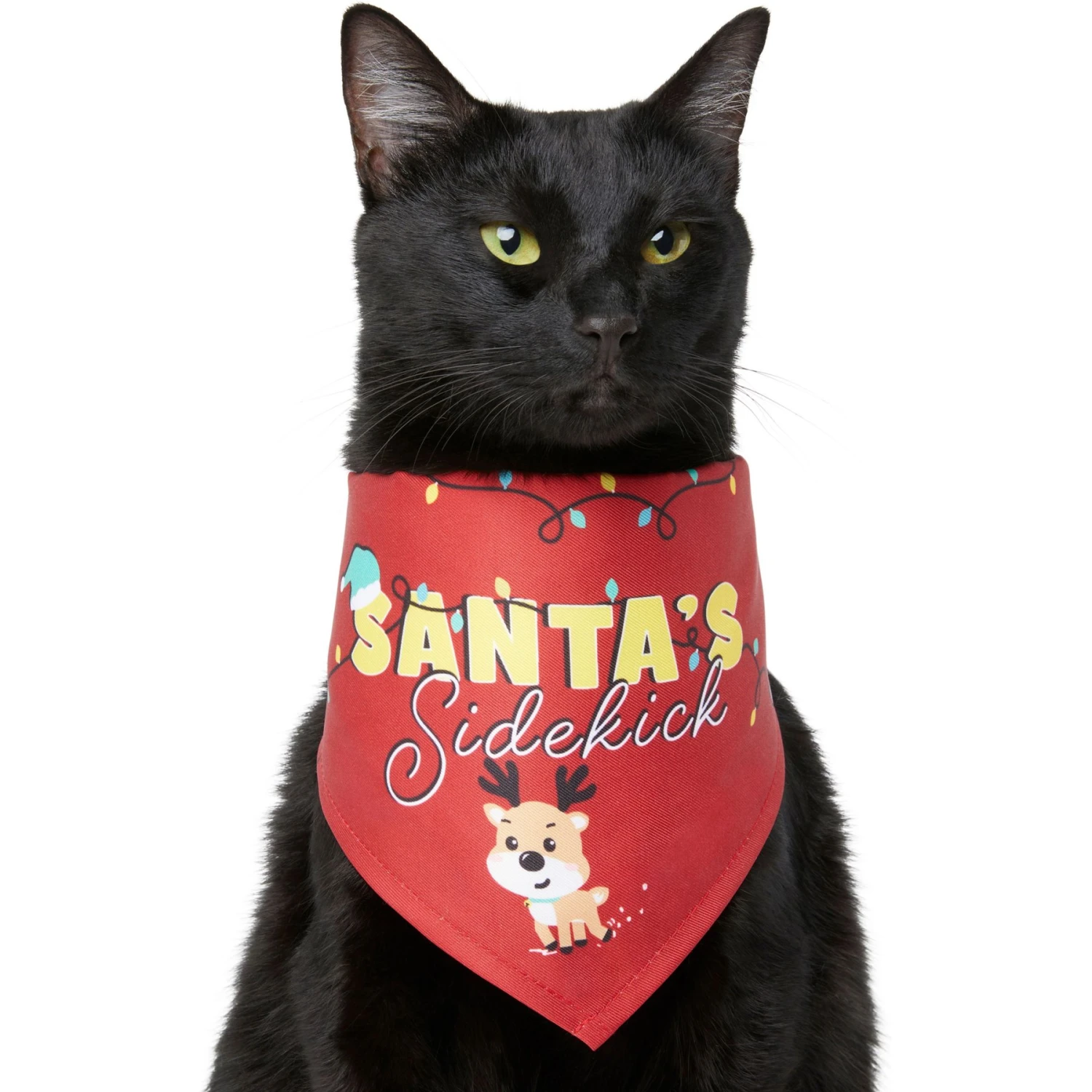 Frisco Santa's Sidekick Dog & Cat Bandana 3 Frisco Santa's Sidekick Dog & Cat Bandana