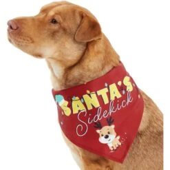 Frisco Santa's Sidekick Dog & Cat Bandana 12 Frisco Santa's Sidekick Dog & Cat Bandana -Pet Cat Store 276204 PT2. AC SS1800 V1637653065