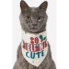 Frisco So Elf'n Cute Dog & Cat Bandana -Pet Cat Store 276276 MAIN. AC SS1800 V1637671663