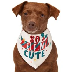Frisco So Elf'n Cute Dog & Cat Bandana 12 Frisco So Elf'n Cute Dog & Cat Bandana -Pet Cat Store 276276 PT2. AC SS1800 V1637682999