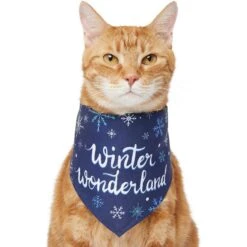 Frisco Winter Wonderland Dog & Cat Bandana -Pet Cat Store 276279 PT2. AC SS1800 V1637675218