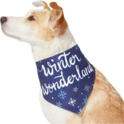 Frisco Winter Wonderland Dog & Cat Bandana -Pet Cat Store 276279 PT3. AC SS1800 V1637688134