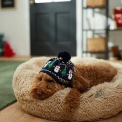 Frisco Jolly Snowman Dog & Cat Knitted Hat 11 Frisco Jolly Snowman Dog & Cat Knitted Hat -Pet Cat Store 276303 PT8. AC SS1800 V1631300384