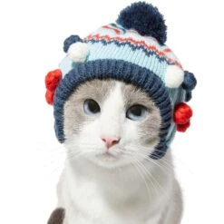 Frisco Pom Pom Dog & Cat Knitted Hat -Pet Cat Store 276307 PT3. AC SS1800 V1631303197