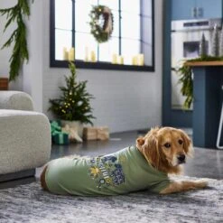 Frisco Joyful Hygge-Inspired Dog & Cat T-shirt 13 Frisco Joyful Hygge-Inspired Dog & Cat T-shirt -Pet Cat Store 276488 PT5. AC SS1800 V1637666798