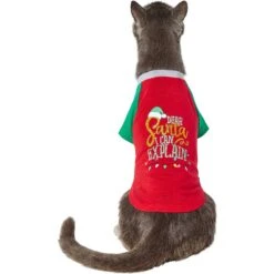 Frisco Santa I Can Explain Dog & Cat T-shirt 10 Frisco Santa I Can Explain Dog & Cat T-shirt -Pet Cat Store 276496 PT2. AC SS1800 V1637682452