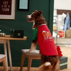 Frisco Santa I Can Explain Dog & Cat T-shirt 13 Frisco Santa I Can Explain Dog & Cat T-shirt -Pet Cat Store 276496 PT5. AC SS1800 V1637677020