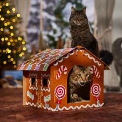 Frisco Holiday Gingerbread House Cardboard Cat House Cat Toy -Pet Cat Store 287289 PT4. AC SS1800 V1694813217