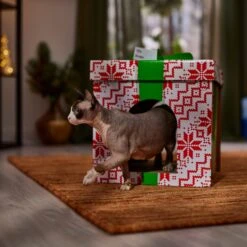 Frisco Holiday Gift Box Cardboard Cat House 12 Frisco Holiday Gift Box Cardboard Cat House -Pet Cat Store 287291 PT4. AC SS1800 V1695045716
