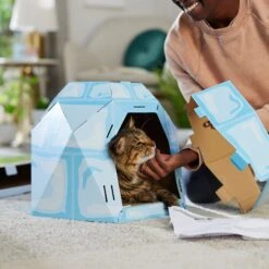 Frisco Igloo Cardboard Cat House 11 Frisco Igloo Cardboard Cat House -Pet Cat Store 287293 PT3. AC SS1800 V1692035199