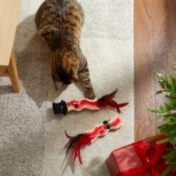 Frisco Holiday Bacon Plush Cat Toy With Catnip, 2 Count 7 Frisco Holiday Bacon Plush Cat Toy With Catnip, 2 Count -Pet Cat Store 287377 PT3. AC SS1800 V1632773555