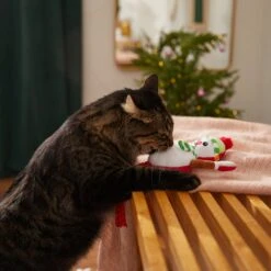Frisco Naughty Or Nice Snowman Reversible Plush Cat Toy With Catnip 9 Frisco Naughty Or Nice Snowman Reversible Plush Cat Toy With Catnip -Pet Cat Store 287387 PT3. AC SS1800 V1632774541