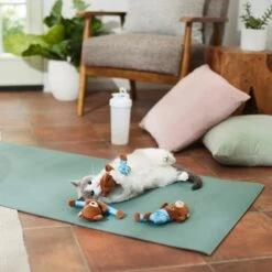 Frisco New Year, New Me Namaste Bear Plush Cat Toy With Catnip 7 Frisco New Year, New Me Namaste Bear Plush Cat Toy With Catnip -Pet Cat Store 288947 PT3. AC SS1800 V1638289414