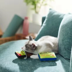 Frisco Protein Bar & Gym Membership Plush Cat Toy With Catnip -Pet Cat Store 288951 PT3. AC SS1800 V1638290814