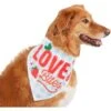 Frisco Love Bites Dog & Cat Bandana 1 Frisco Love Bites Dog & Cat Bandana -Pet Cat Store 292054 MAIN. AC SS1800 V1637268755
