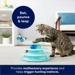 Frisco Butterfly Cat Tracks Cat Toy & Dr. Elsey's Ultra Unscented Clumping Clay Cat Litter 14 Frisco Butterfly Cat Tracks Cat Toy & Dr. Elsey's Ultra Unscented Clumping Clay Cat Litter -Pet Cat Store 293022 PT3. AC SS1800 V1700675839